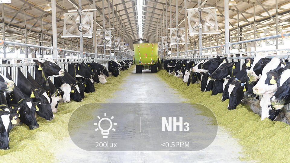 Youran Dairy Official