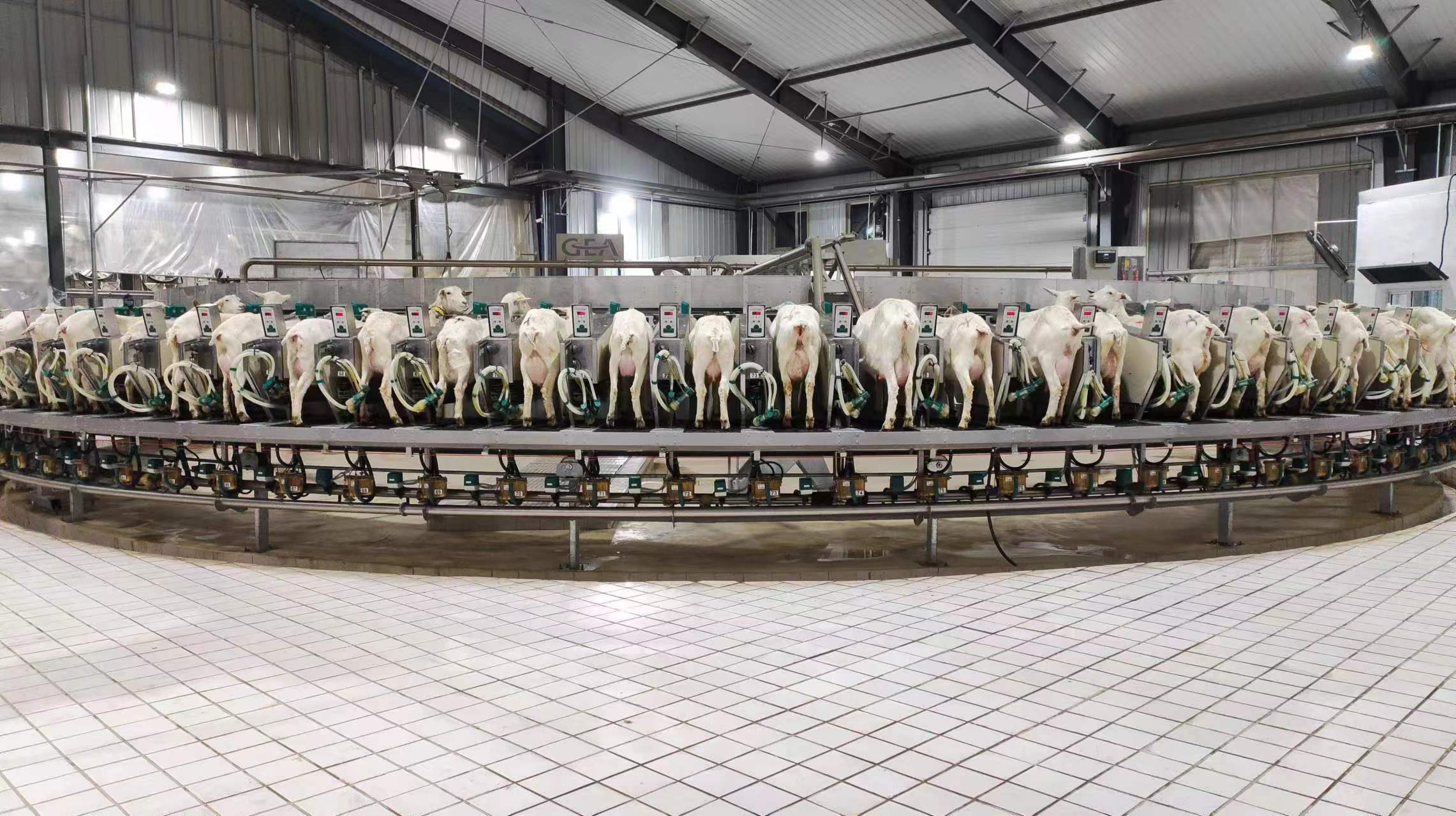 Youran Dairy Official